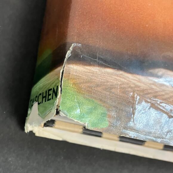 Vanessa Del Rio "50 Years of Slightly Slutty Behavior" Photo Book AAA3610 - Picture 5 of 16